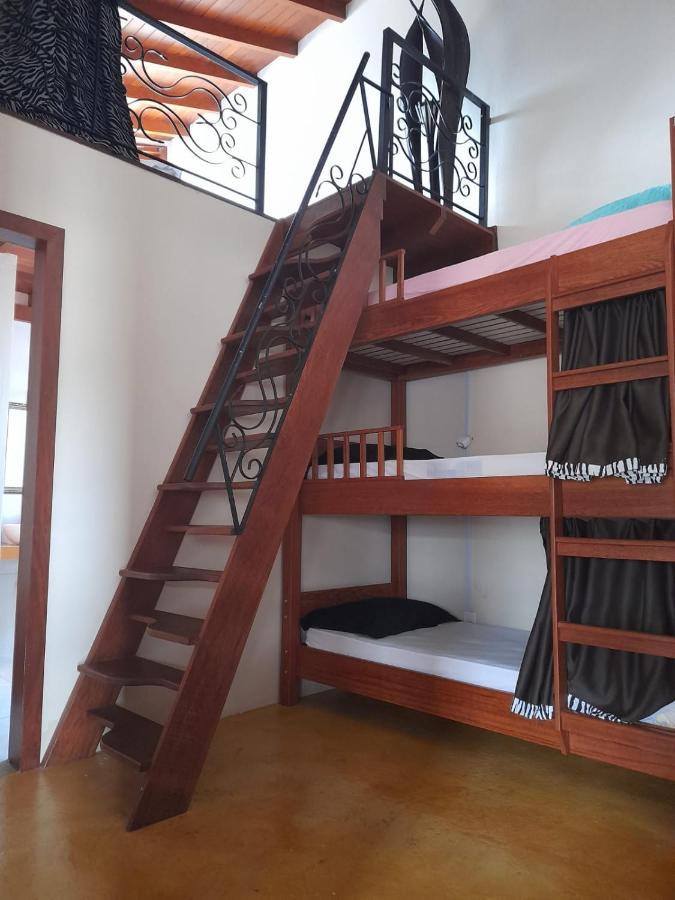 Mama Africa Hostel Florianópolis Kültér fotó